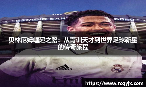 zoty中欧官方网站